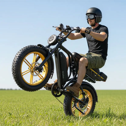 1500W Fat Tire Ebike, 28MPH, 60 Miles Range, 48V 15Ah Battery, Rear Seat, UL Certified